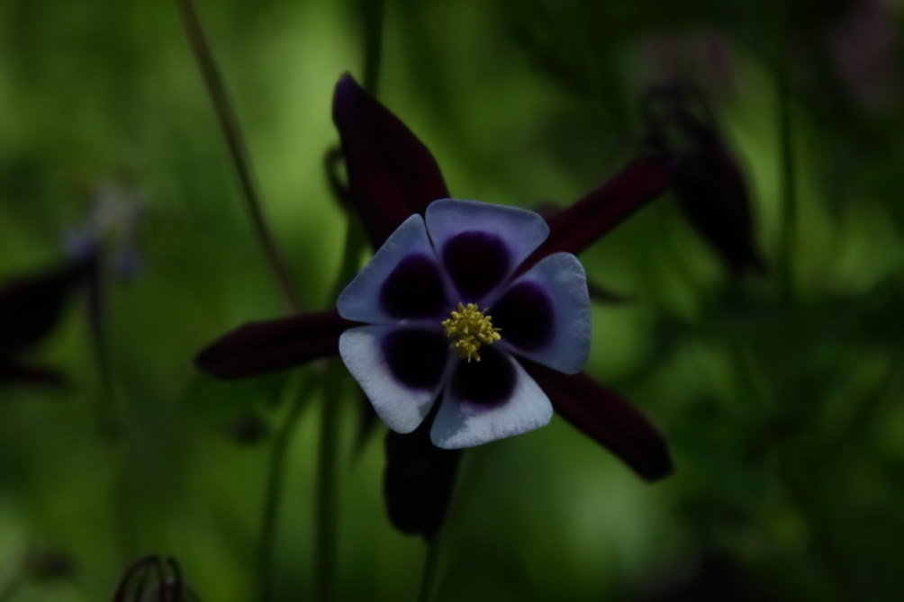 2012 05 20 3771